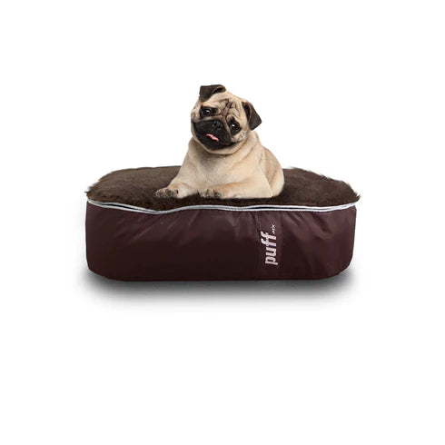 Los mejores puffs para mascotas