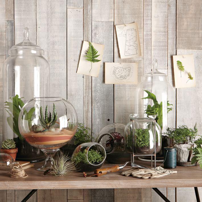 CREA TU TERRARIO PASO A PASO!