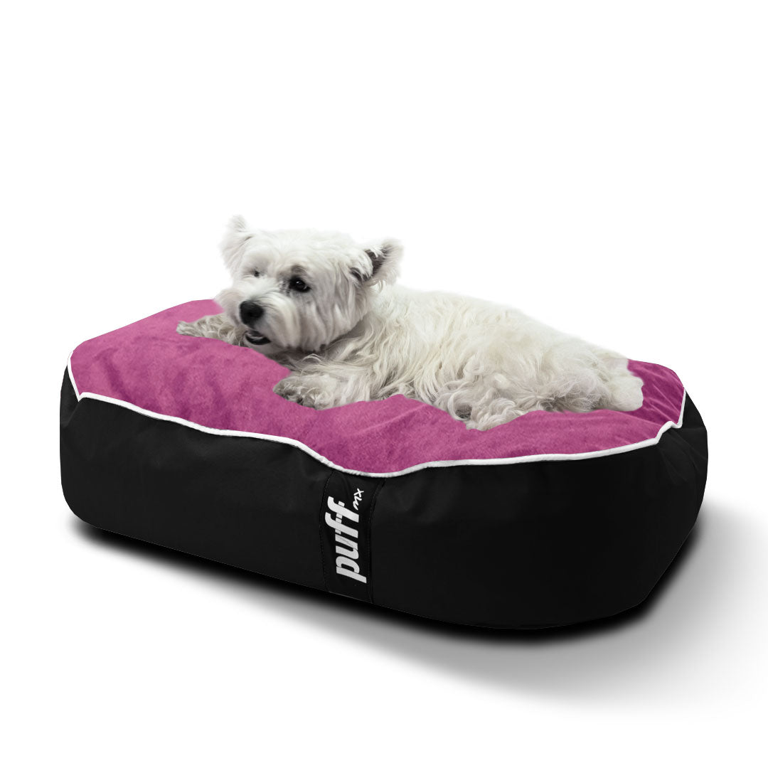 Pet Puff Chico Negro Fucsia Nylon Gamuza