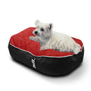 Pet Puff Chico Negro Rojo Nylon Gamuza