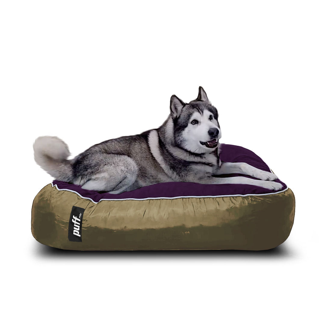 Pet Puff Grande Beige Morado Hule Espuma Gamuza