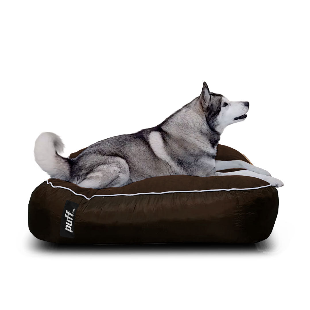 Pet Puff Grande Chocolate Chocolate Foam Mix Gamuza
