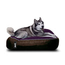 Pet Puff Grande Chocolate Morado Gamuza