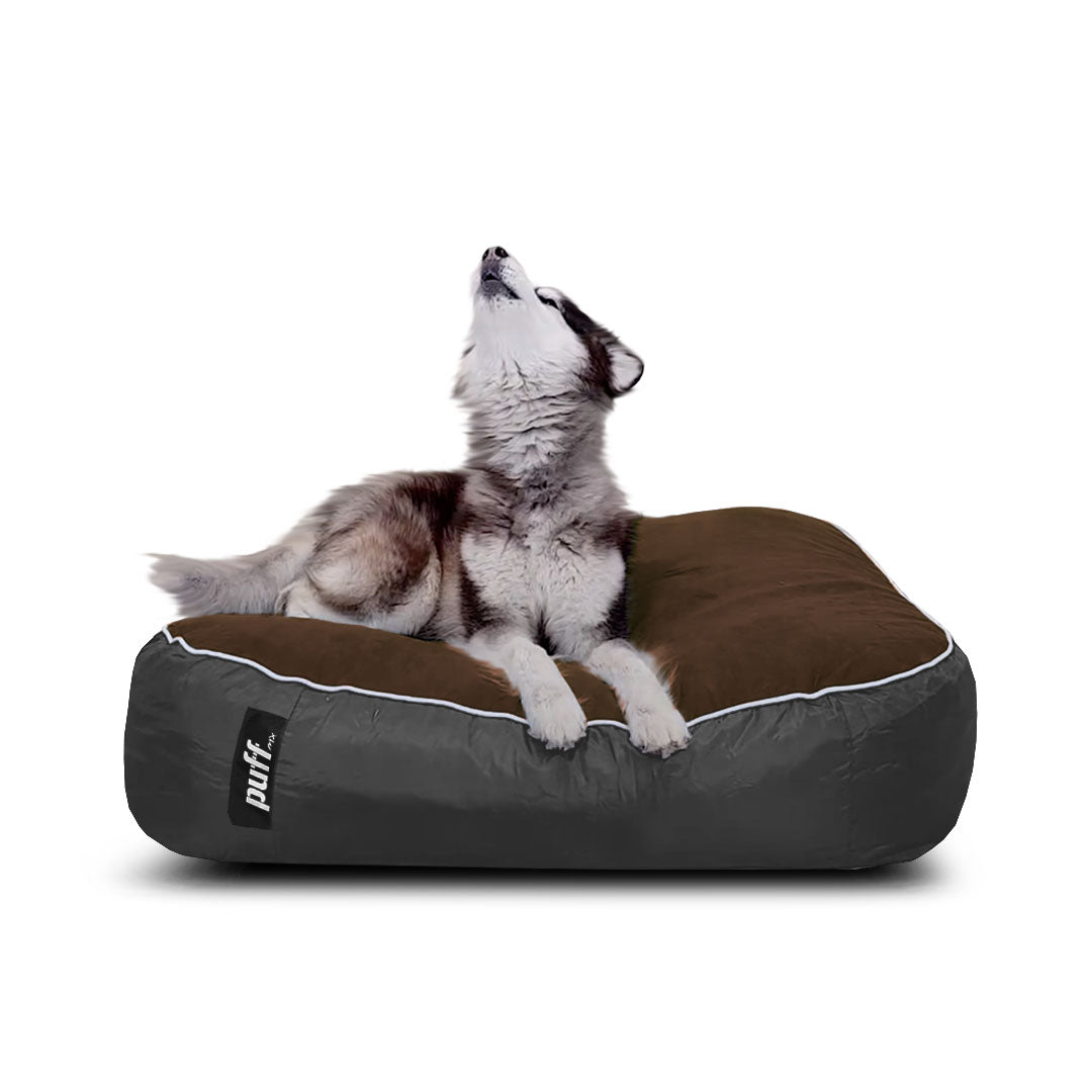 Pet Puff Grande Chocolate Gris Oxford Gamuza