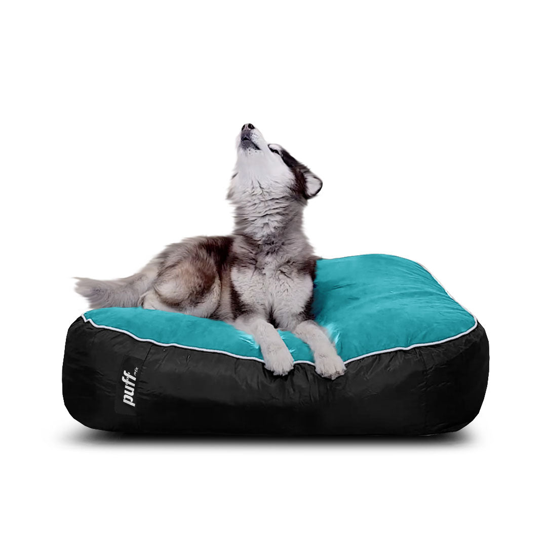 Pet Puff Grande Aqua Gamuza