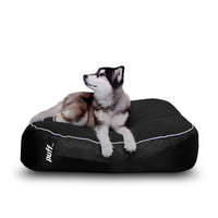 Pet Puff Grande Negro Gris Nylon