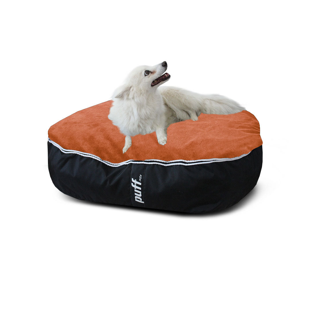 Pet Puff Mediano Nylon Gamuza Negro Naranja