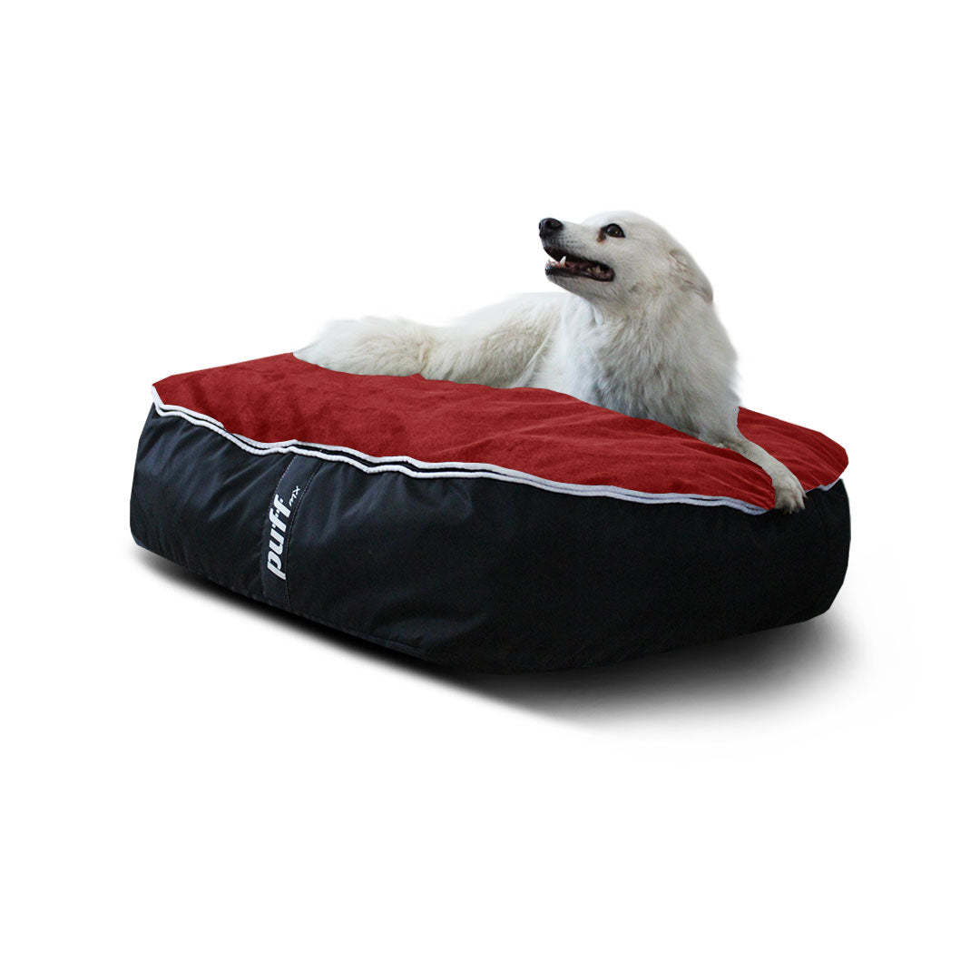 Pet Puff Mediano Nylon Gamuza Negro Rojo