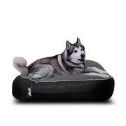 Pet Puff Grande Negro Gris Oscuro Gamuza
